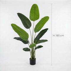 Kunstig strelitzia 180 cm