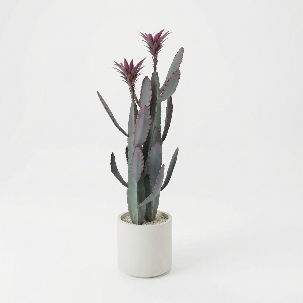 Kunst cactus 100 cm met decoratieve pot, volledige plant op witte achtergrond