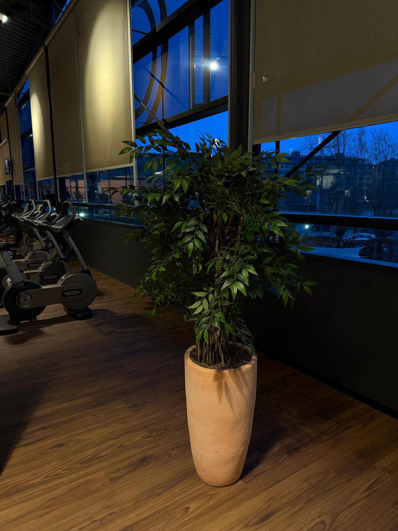 Sportscholen & wellness