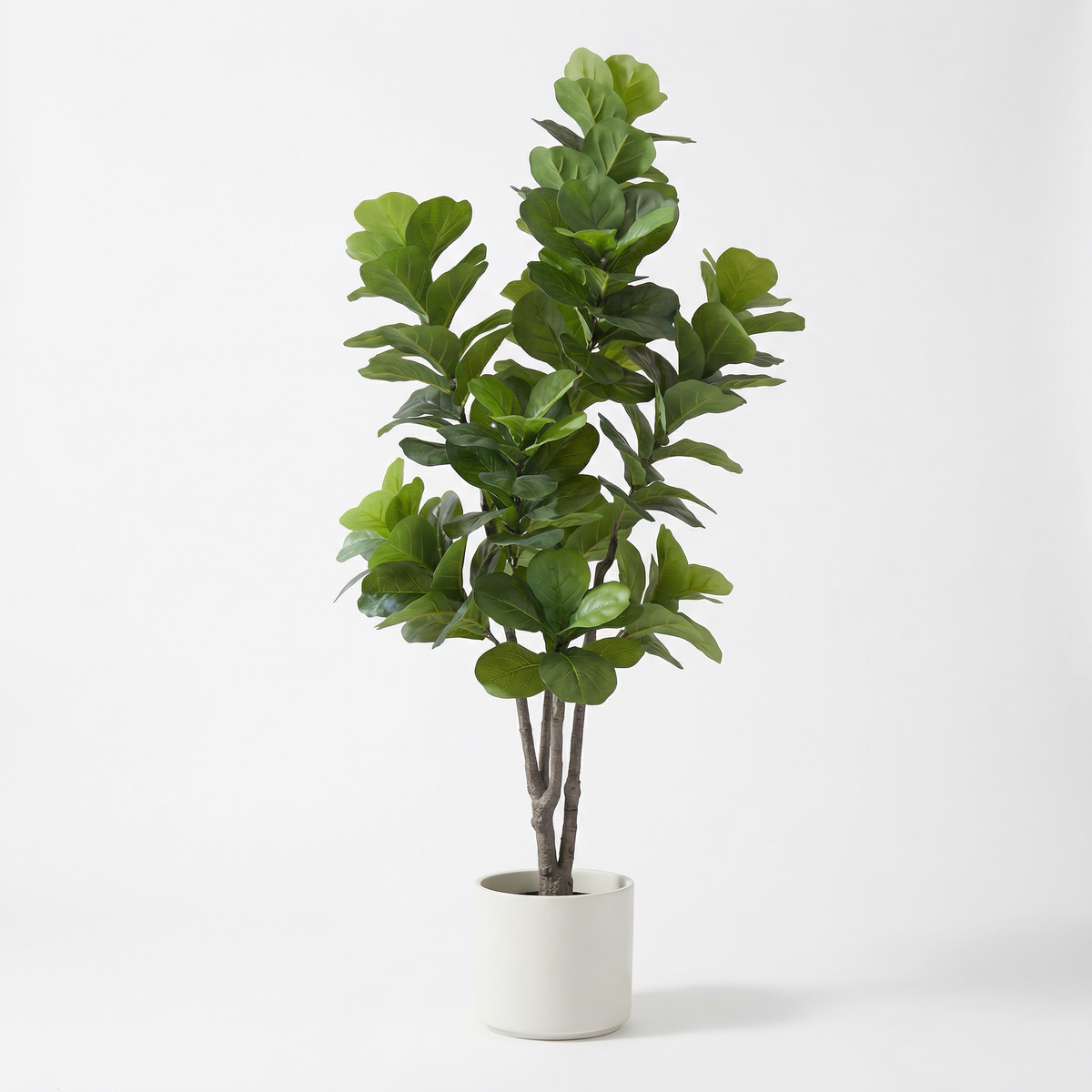 Künstlicher Ficus lyrata 150–210 cm