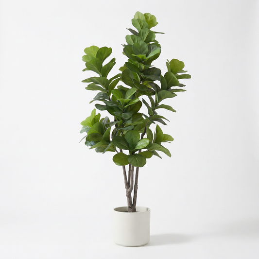 Künstlicher Ficus lyrata 150–210 cm