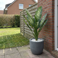 Kunst Dieffenbachia 90 cm