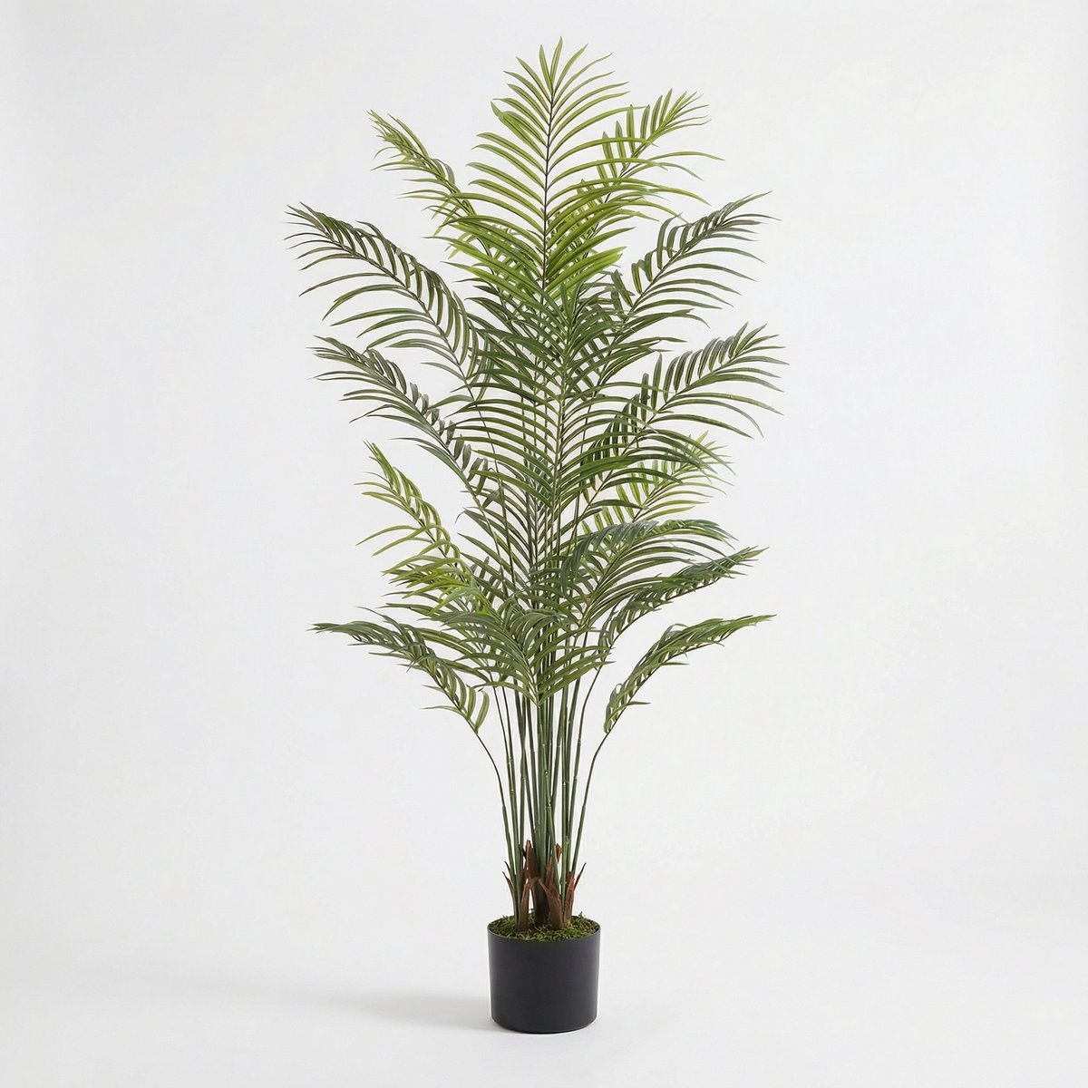 Kunst arecapalm 180 cm, volledige plant op witte achtergrond
