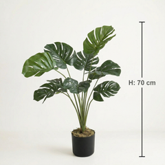 Kunst Monstera Deliciosa 70–180 cm