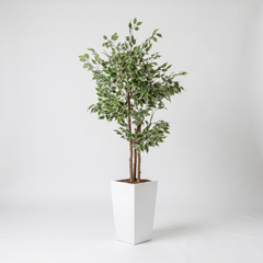 Kunst Ficus Benjamina 150 cm met decoratieve pot