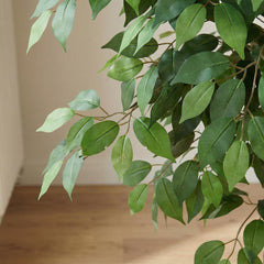 Kunst Ficus Nitida 180 cm
