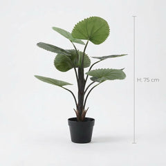 Kunst Waaierpalm 75 cm