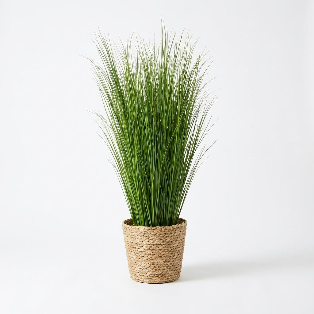 Kunst rietgras pluimen 50 cm (10 stuks), volledige plant op witte achtergrond (in rieten mand)