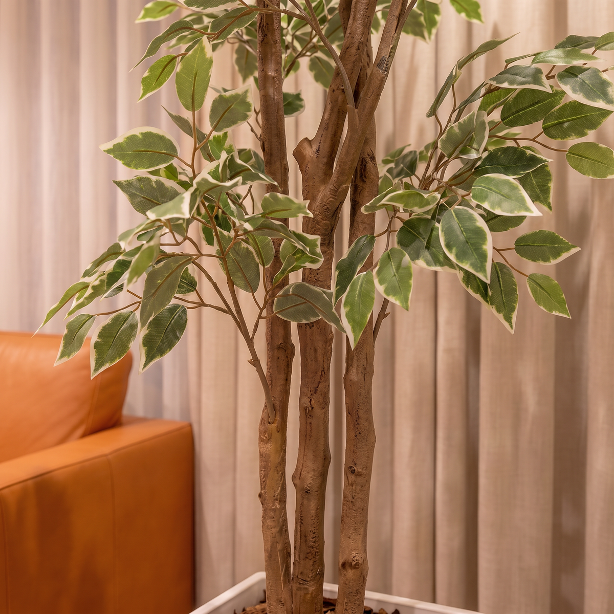 Kunst ficus benjamina 150 cm, close-up van de drie stammen en het bonte groen-witte blad