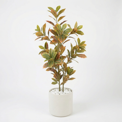 Kunst Croton Stelen 120 cm