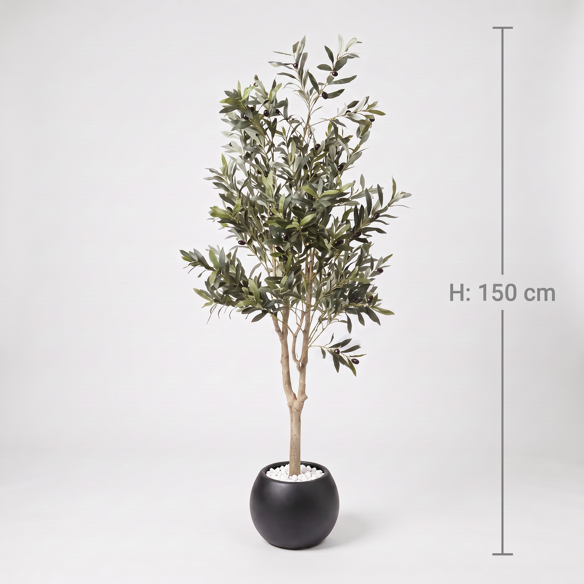 Künstlicher Olivenbaum 150 cm im schwarzen Kugeltopf mit weißen Steinchen, frontal auf hellem Hintergrund, mit Höhenangabe