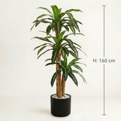 Kunst-Dracaena Massangeana 160 cm