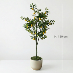 Kunst Citroenboom 150–180 cm