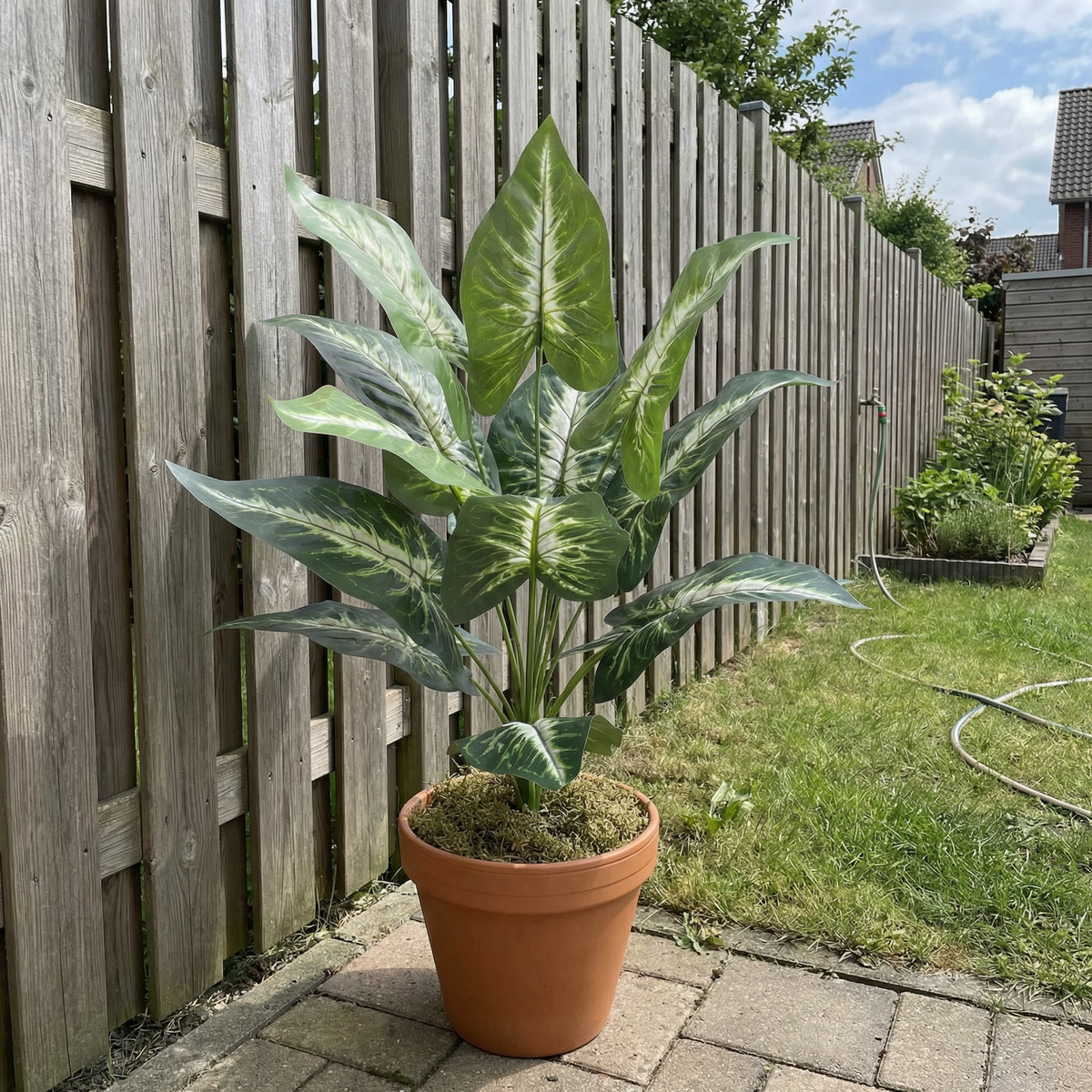 Kunst dieffenbachia stelen groen-wit 45 cm buiten in tuin