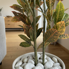 Kunst Croton Stelen 120 cm