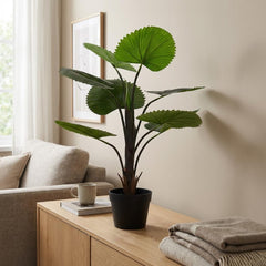 Kunst Waaierpalm 75 cm