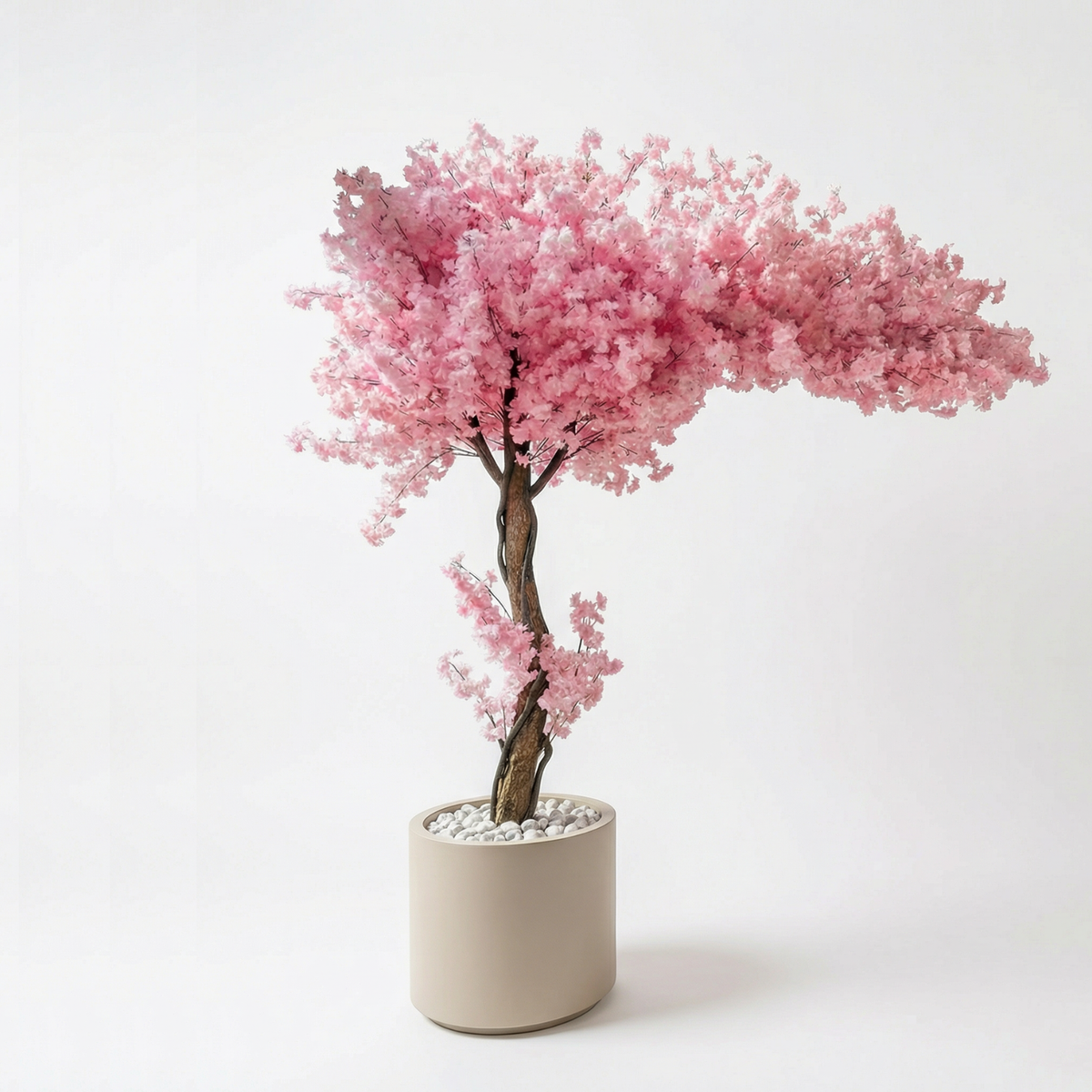 Kunst kersenbloesemboom 200–250 cm, volledige plant op witte achtergrond