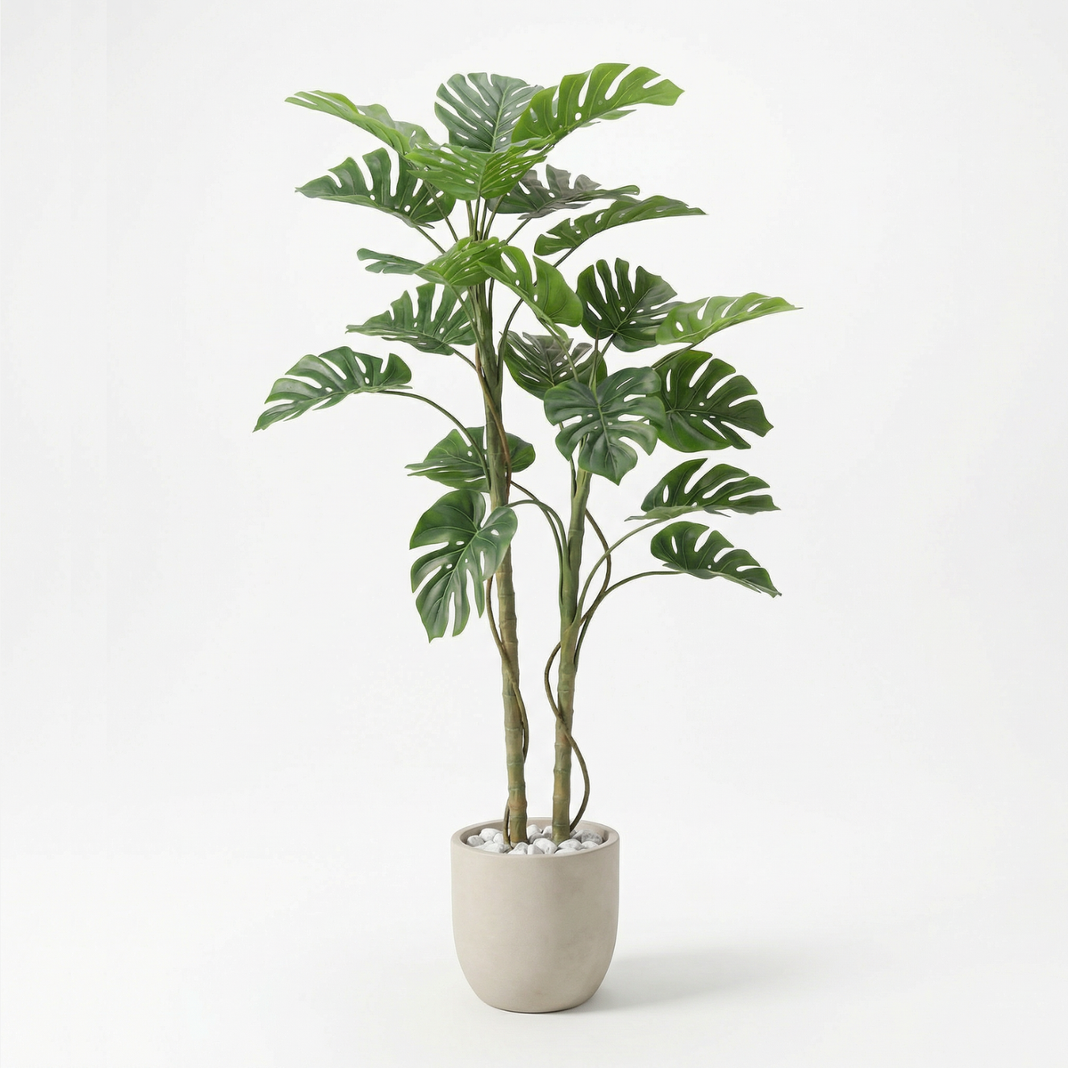 Kunst monstera deliciosa 70–180 cm, volledige plant op witte achtergrond